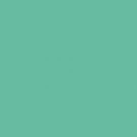 Πράσινο Χρώμα αυτοκινήτου 496-BMW