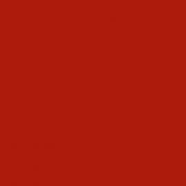 Πορτοκαλί Χρώμα αυτοκινήτου 4ESAWHA-FORD