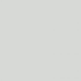 Γκρι Χρώμα αυτοκινήτου 4QKCWWA-FORD