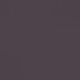 Γκρι Χρώμα αυτοκινήτου 4T5-TOYOTA