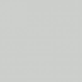 Λευκό Χρώμα αυτοκινήτου 4WFAWHA-FORD