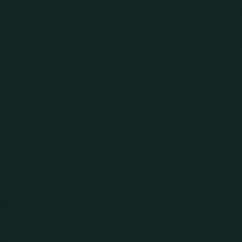 Πράσινο Χρώμα αυτοκινήτου 51F-DACIA