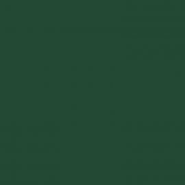 Πράσινο Χρώμα αυτοκινήτου 51G-DACIA