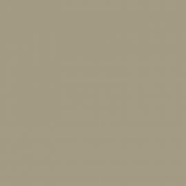 Μπεζ Χρώμα αυτοκινήτου 550/B-FIAT