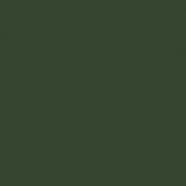 Πράσινο Χρώμα αυτοκινήτου 553-FIAT