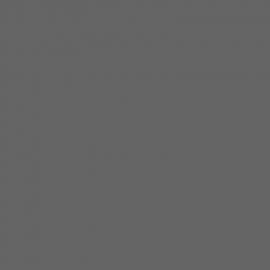 Γκρι Χρώμα αυτοκινήτου 560-RENAULT