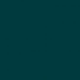 Πράσινο Χρώμα αυτοκινήτου 561-BMW