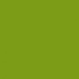 Πράσινο Χρώμα αυτοκινήτου 584/A-FIAT