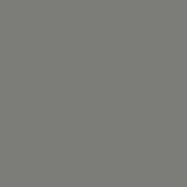 Γκρι Χρώμα αυτοκινήτου 589/A-FIAT