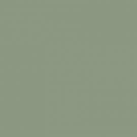 Πράσινο Χρώμα αυτοκινήτου 591-SUBARU