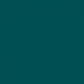 Πράσινο Χρώμα αυτοκινήτου 593-RENAULT