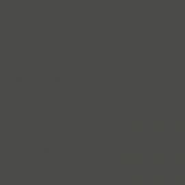 Γκρι Χρώμα αυτοκινήτου 600-FIAT