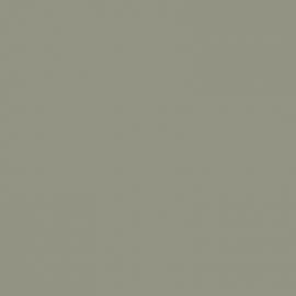 Γκρι Χρώμα αυτοκινήτου 602/A-FIAT