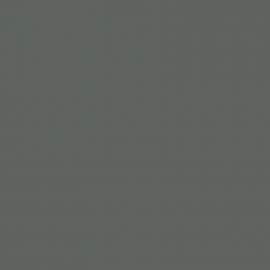 Γκρι Χρώμα αυτοκινήτου 611-RENAULT