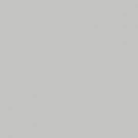 Γκρι Χρώμα αυτοκινήτου 619/A-FIAT