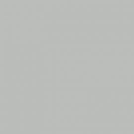 Γκρι Χρώμα αυτοκινήτου 620-FIAT