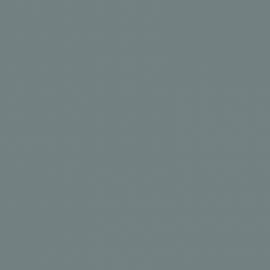 Γκρι Χρώμα αυτοκινήτου 630-FIAT