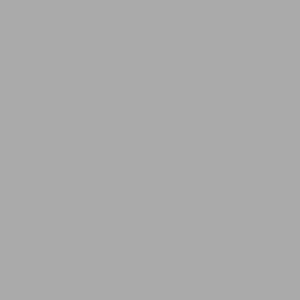 Γκρι Χρώμα αυτοκινήτου 647-RENAULT