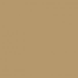 Μπεζ Χρώμα αυτοκινήτου 67U-DAEWOO