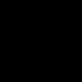 Μαύρο Χρώμα αυτοκινήτου 694-RENAULT