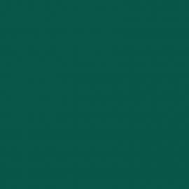 Πράσινο Χρώμα αυτοκινήτου 6P5-TOYOTA