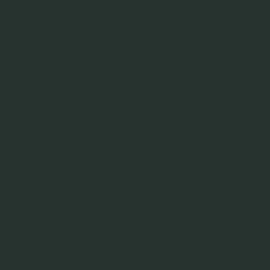 Πράσινο Χρώμα αυτοκινήτου 6T8-TOYOTA