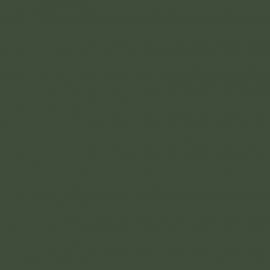 Πράσινο Χρώμα αυτοκινήτου 6W3-TOYOTA