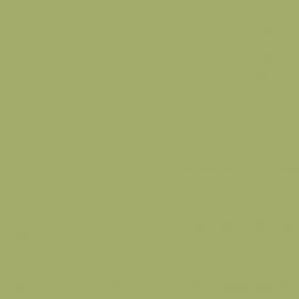 Πράσινο Χρώμα αυτοκινήτου 794/A-FIAT