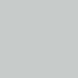 Λευκό Χρώμα αυτοκινήτου 797-SMART