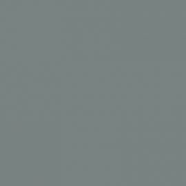 Γκρι Χρώμα αυτοκινήτου 824-FIAT