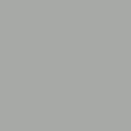 Γκρι Χρώμα αυτοκινήτου 845-ISUZU