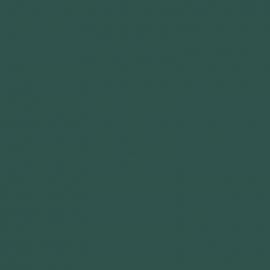 Πράσινο Χρώμα αυτοκινήτου 891-MERCEDES