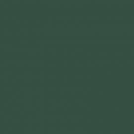 Πράσινο Χρώμα αυτοκινήτου 895-FIAT