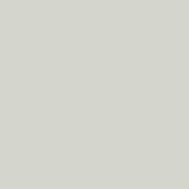 Λευκό Χρώμα αυτοκινήτου 899-MINI