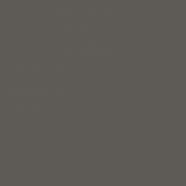 Γκρι Χρώμα αυτοκινήτου 8PKCWWA-FORD