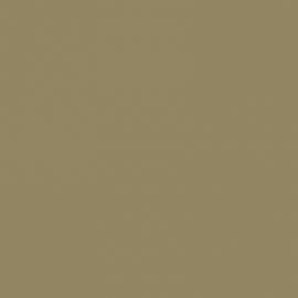 Μπεζ Χρώμα αυτοκινήτου 8TMEWWA-FORD