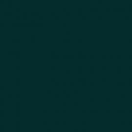 Πράσινο Χρώμα αυτοκινήτου 904-RENAULT