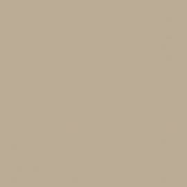 Μπεζ Χρώμα αυτοκινήτου 9205-SKODA