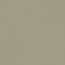 Πράσινο Χρώμα αυτοκινήτου 931-RENAULT