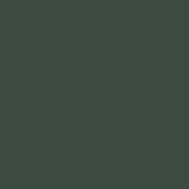 Πράσινο Χρώμα αυτοκινήτου 974-RENAULT