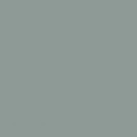 Πράσινο Χρώμα αυτοκινήτου 995-RENAULT