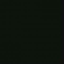 Μαύρο Χρώμα αυτοκινήτου 9AYEWHA-FORD