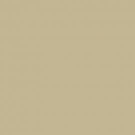 Μπεζ Χρώμα αυτοκινήτου A1-HYUNDAI