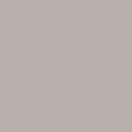 Γκρι Χρώμα αυτοκινήτου A10-BMW