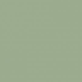 Γκρι Χρώμα αυτοκινήτου A34-BMW