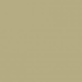 Καφε Χρώμα αυτοκινήτου A53-BMW