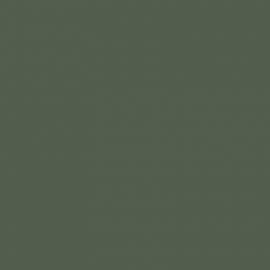 Πράσινο Χρώμα αυτοκινήτου A81-BMW