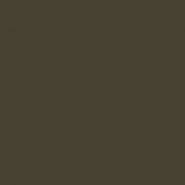 Γκρι Χρώμα αυτοκινήτου AXRCWWA-FORD