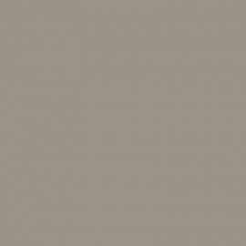 Γκρι Χρώμα αυτοκινήτου B66-BMW