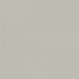 Γκρι Χρώμα αυτοκινήτου C1-KIA